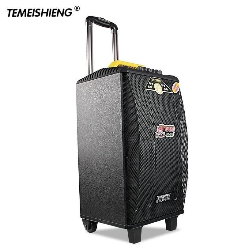 Temeisheng Portable Powered Trolley Speaker Qx-1214